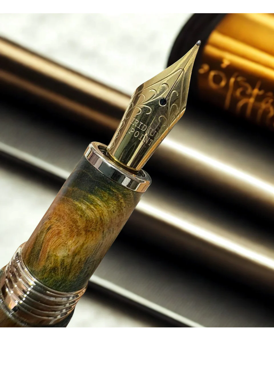 Jinxian Natural Stabilized Wood Fountain Pen - Image 2